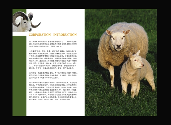 畫冊psd設(shè)計(jì)模板下載