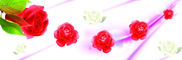 室內(nèi)彩平圖塊花卉1