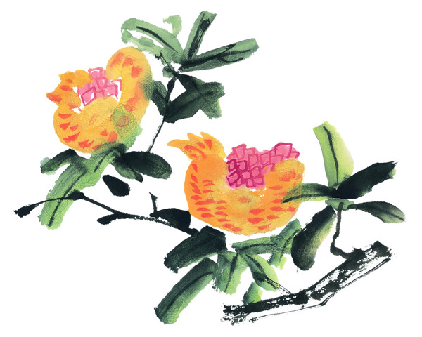果實(shí)