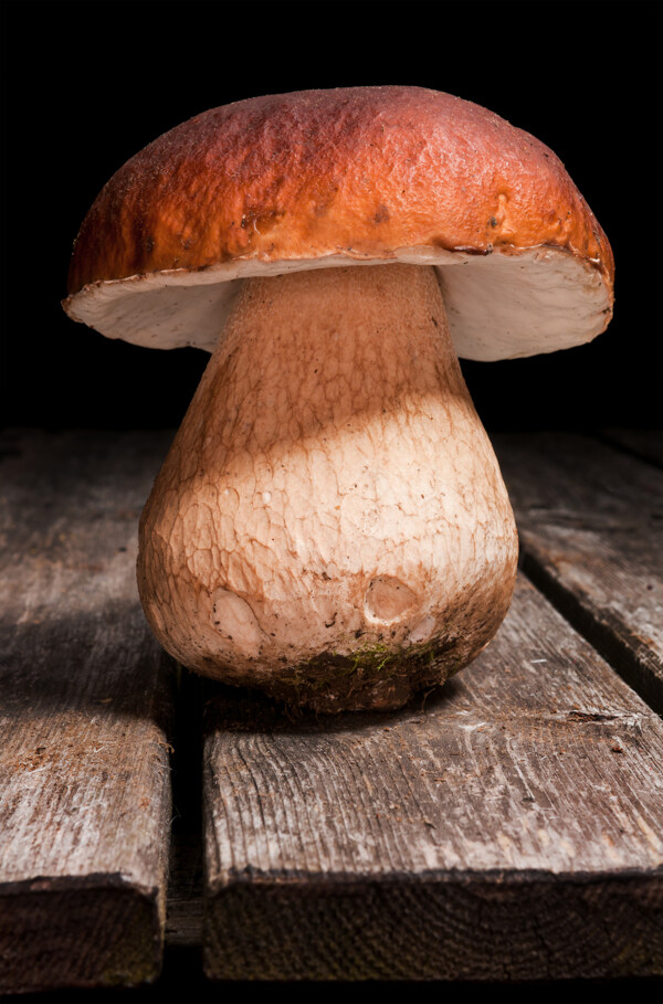 木板上的蘑菇