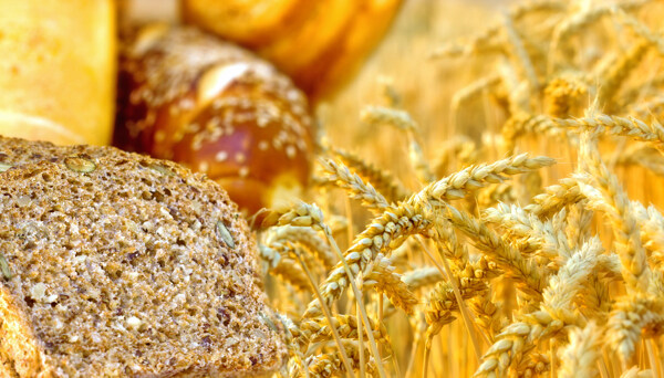 金色麦穗与面包图片