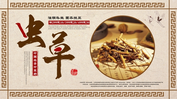 黄色简约中国风传统中药虫草促销展板