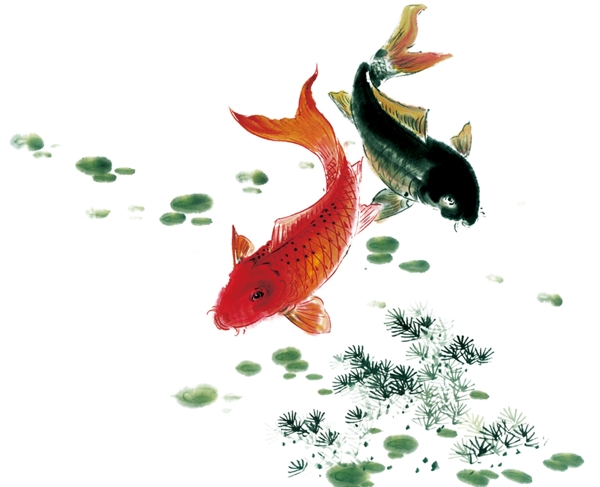 中國風(fēng)鯉魚
