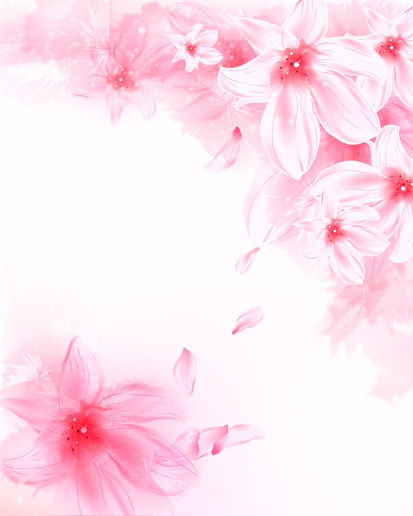 粉色花朵