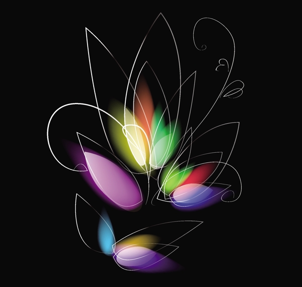 發(fā)光花卉在黑色的背景顏色