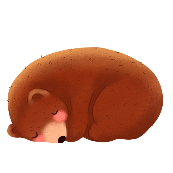 睡觉的棕熊手绘设计可商用元素