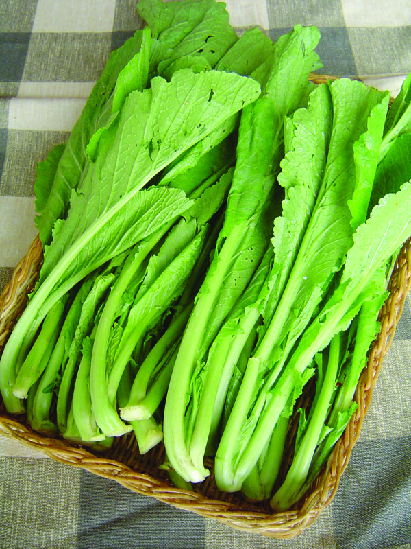 春菜蔬菜圖片