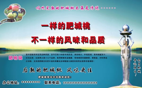 肥城桃圖片