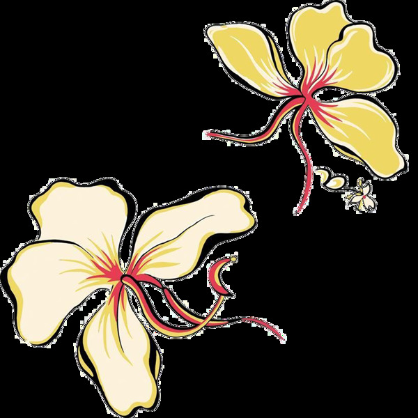 花朵裝飾圖案