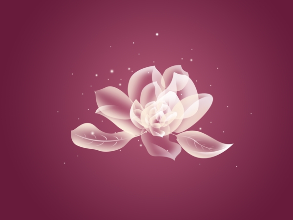 鮮花背景圖片