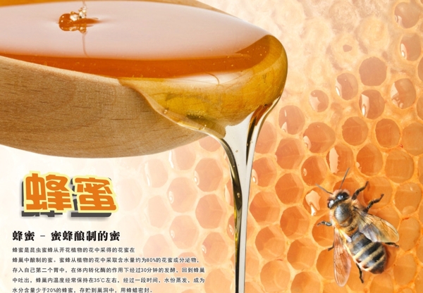 蜂蜜海報設計