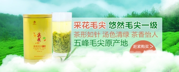 清新綠色茶