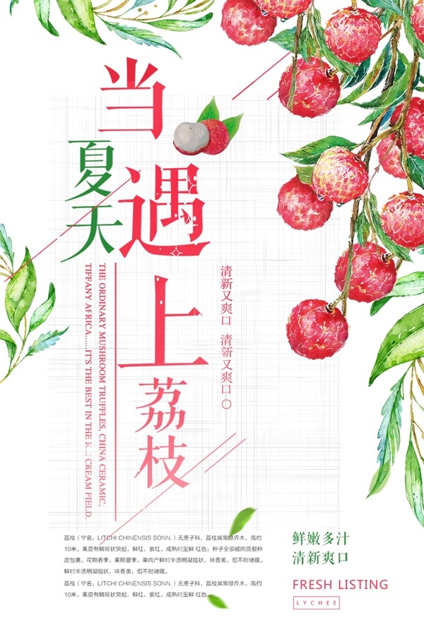 精美大气简约清新夏天热销水果荔枝海报