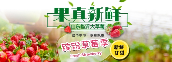 新鲜草莓水果banner