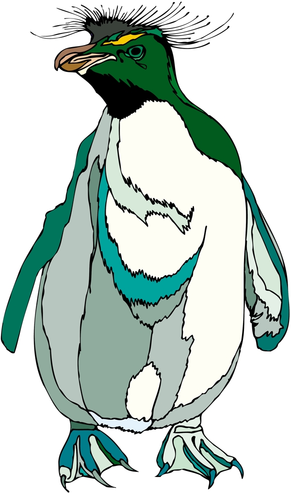 各種鳥類鳥動(dòng)物矢量素材EPS格式1294