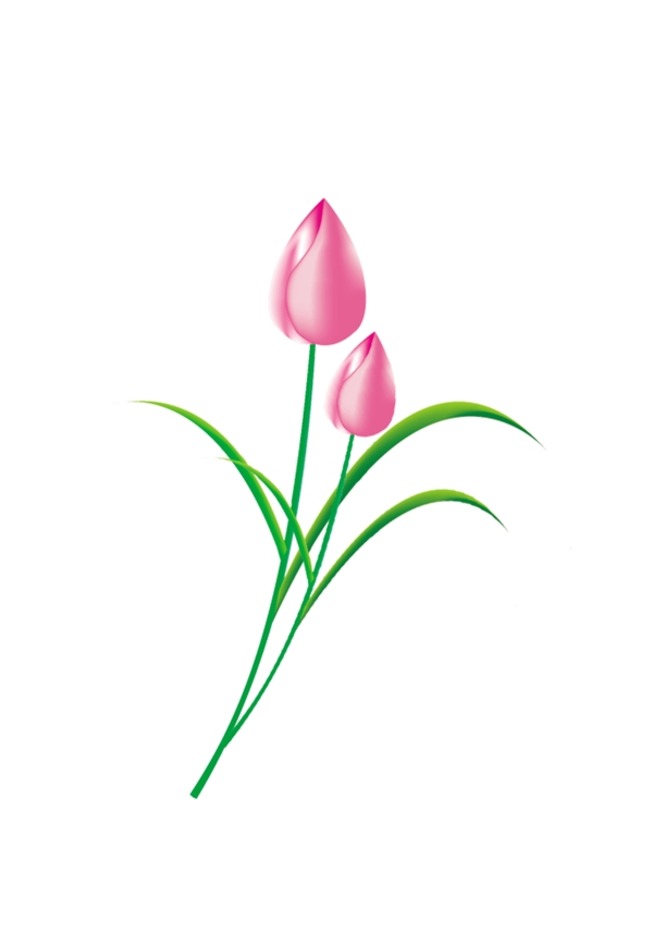 位圖psd植物花朵免費(fèi)素材