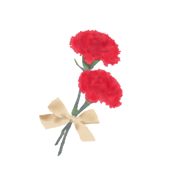 母亲节礼物花朵水彩康乃馨