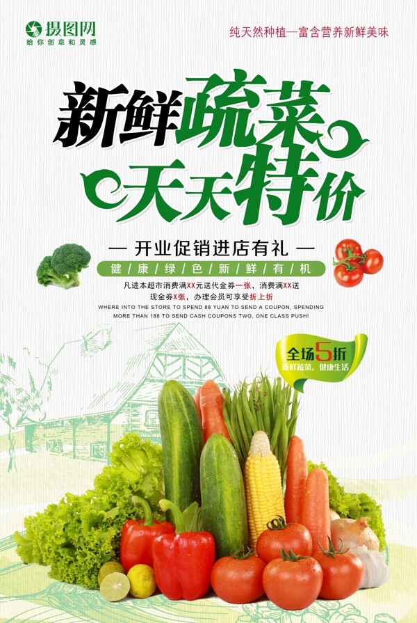 蔬菜特价促销海报