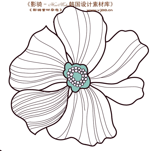 花紋花朵裝飾修飾HanMaker韓國設計素材庫