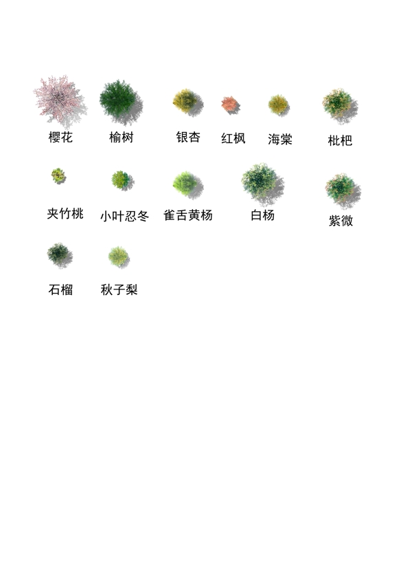 立体树平面树例图片