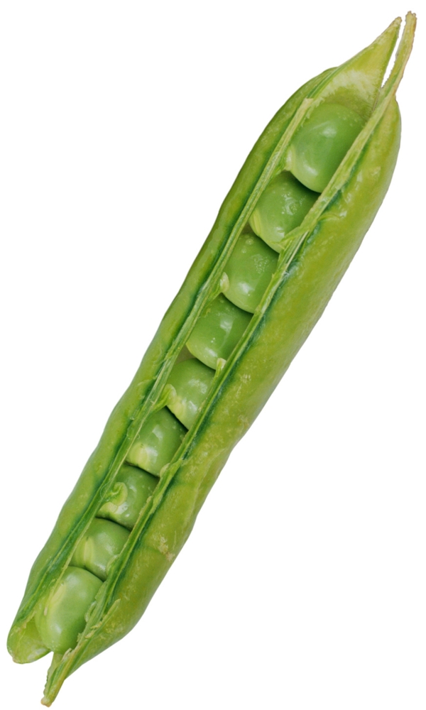 蔬菜圖片