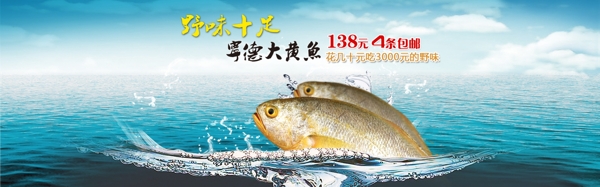 大黄鱼海报图片