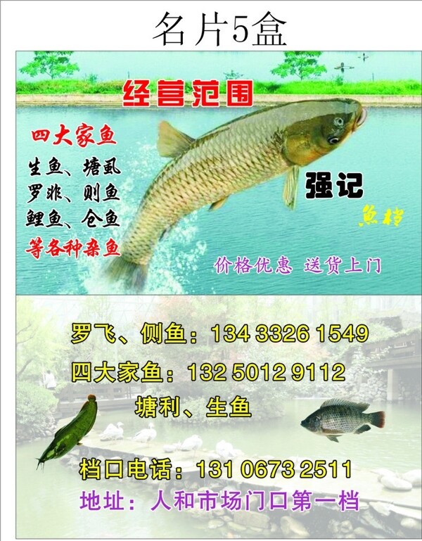 魚名片圖片