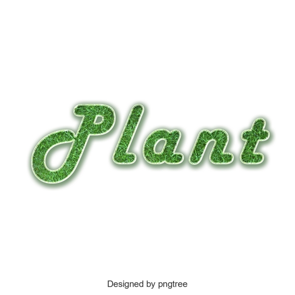植物植物绿色设计和绿色性格