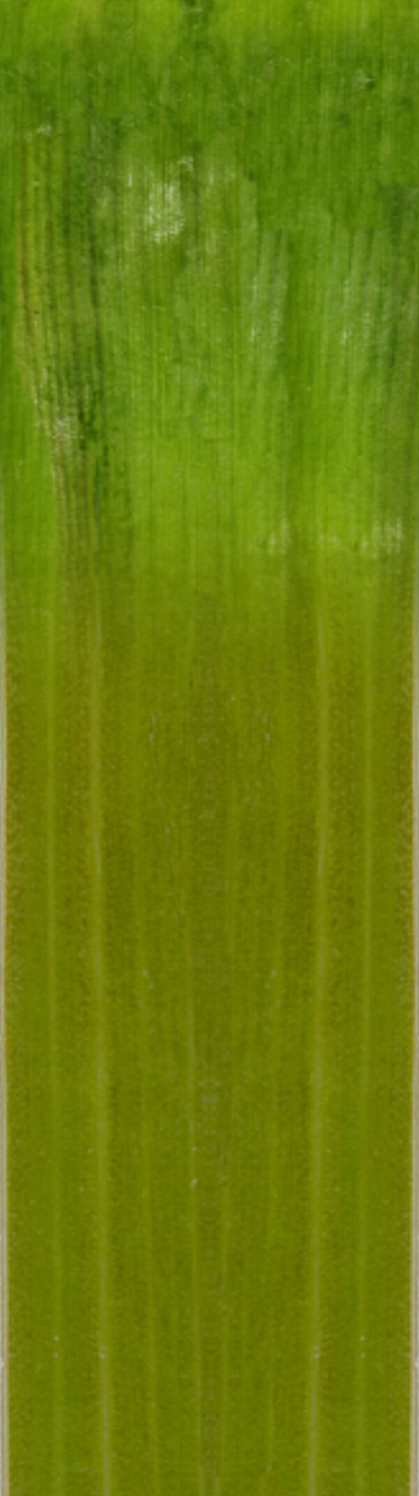 古典藝術(shù)臥室