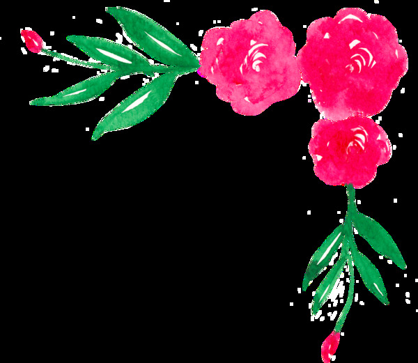 鮮花邊框透明裝飾素材