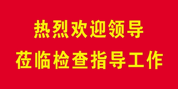 熱烈歡迎領(lǐng)導(dǎo)