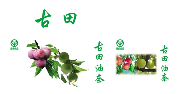 李子李子箱李圖片