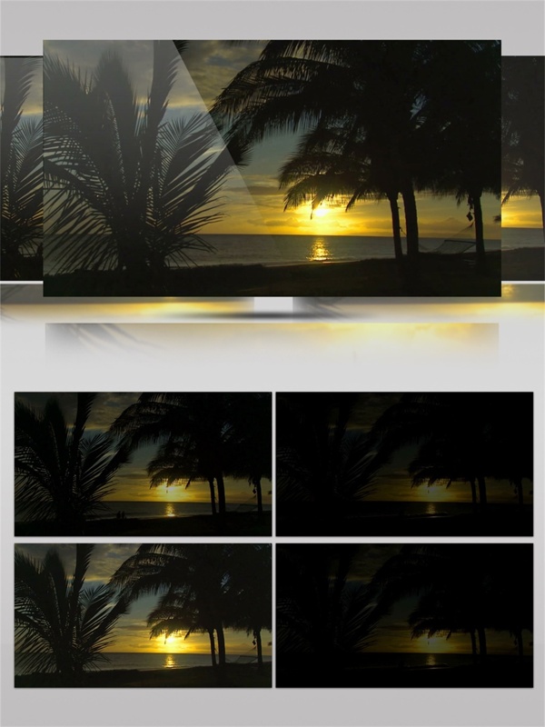 日落黄昏阳光椰树沙滩视频素材