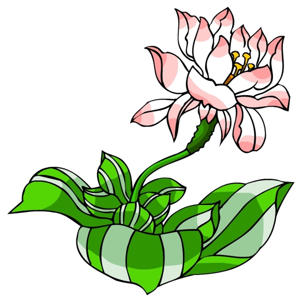花卉古典插畫(huà)