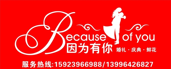 因?yàn)橛心鉲ogo