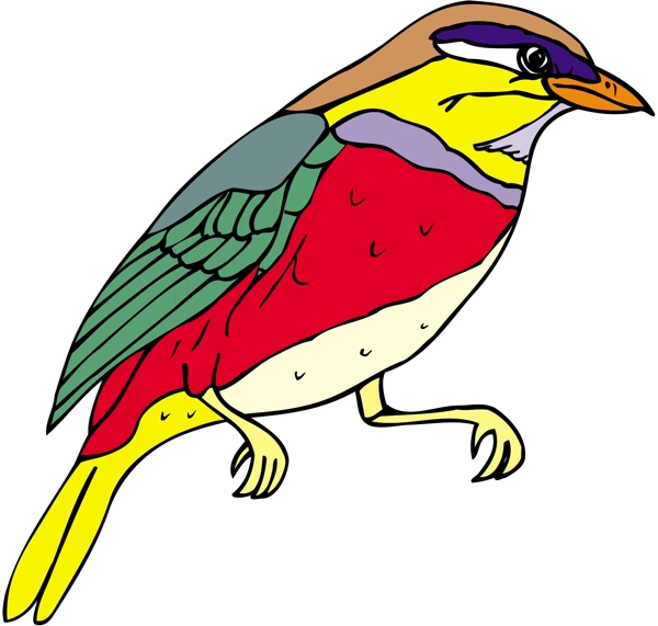 各種鳥(niǎo)類(lèi)鳥(niǎo)動(dòng)物矢量素材EPS格式1435