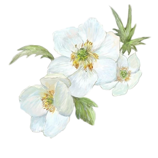 花