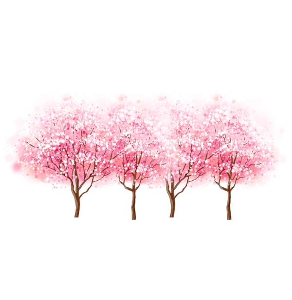 一排唯美浪漫的樱花树林