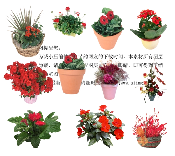 花盆psd圖片