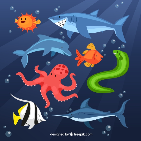 卡通海洋动物矢量图片