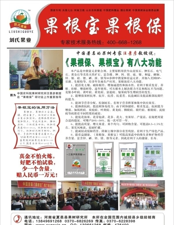 果根寶果根保圖片