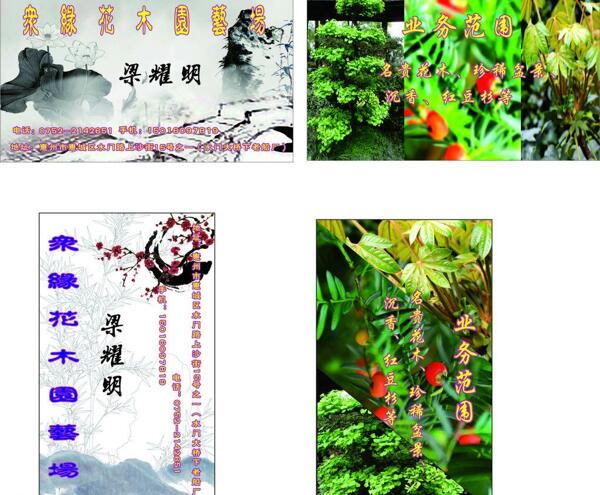 花卉名片圖片