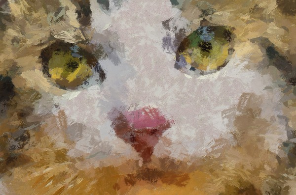 猫装饰画抽象画