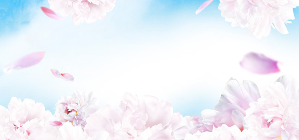清新粉色花朵banner背景素材