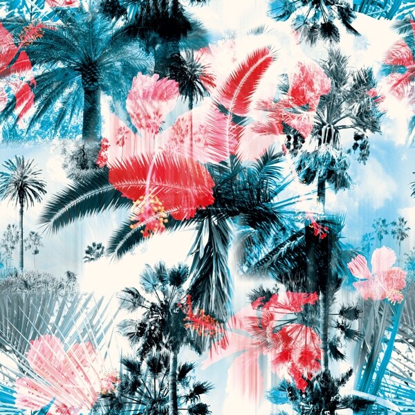 熱帶花