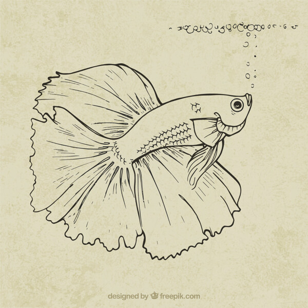 手繪的魚