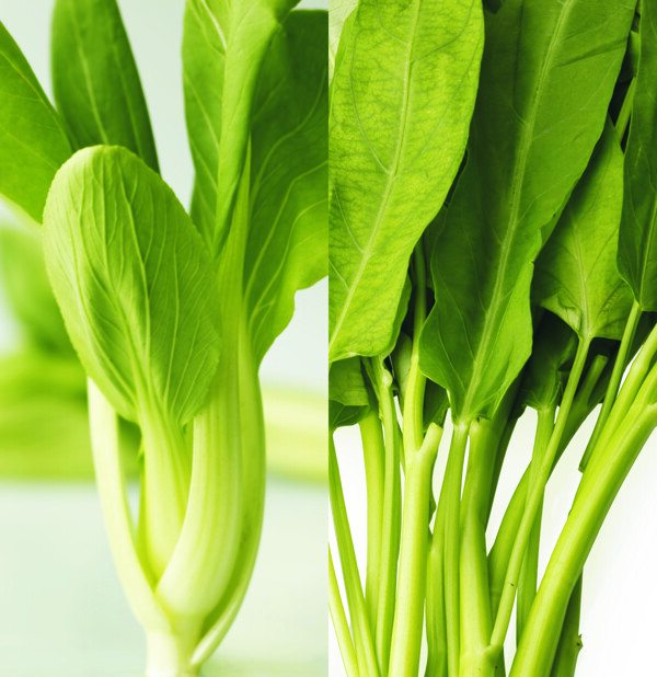 蔬菜圖片