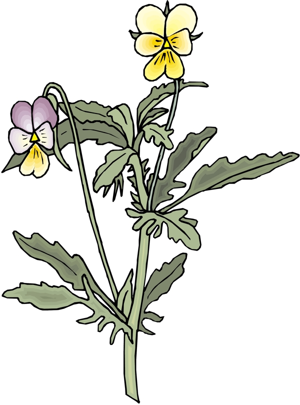 花朵花草鮮花矢量EPS格式0413
