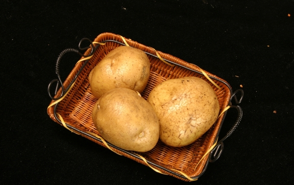 土豆