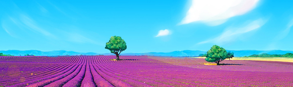 婚慶banner圖